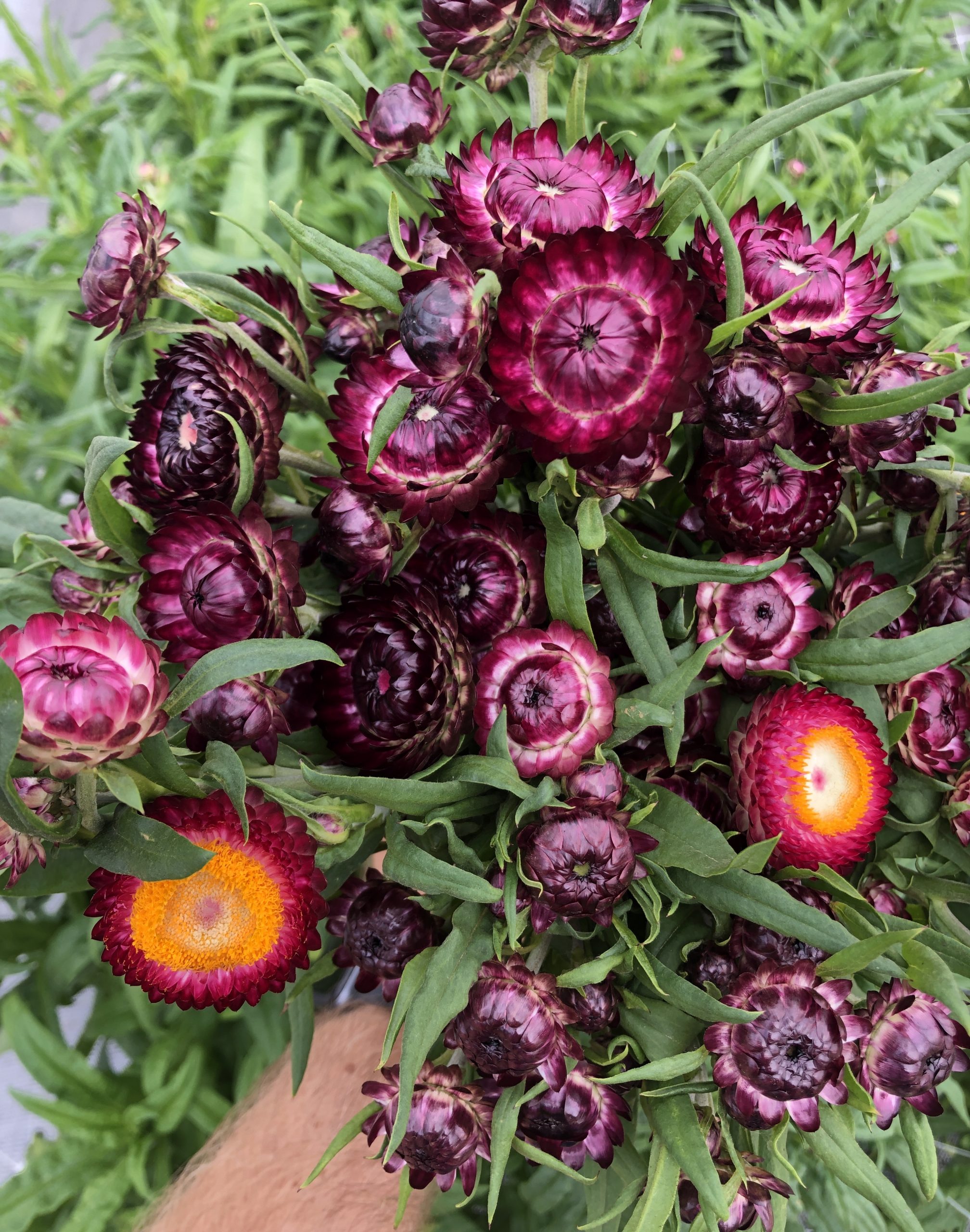 Jewel Toned Summer Bouquet Collection - Image 2