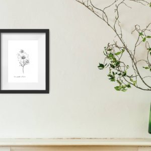 Cosmos Versailles Flush Print
