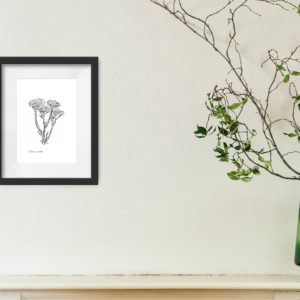 Statice Print