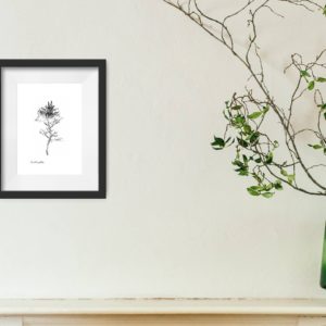 Love in a mist African Bride Print