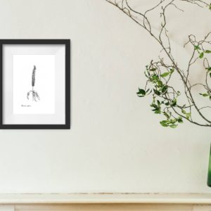 Ornamental Millet Copper Prince Print