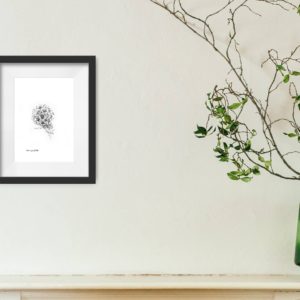 Starflower Pod Print