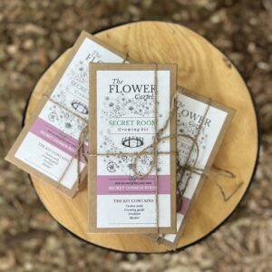 Cosmos Secret Room Growing Kit