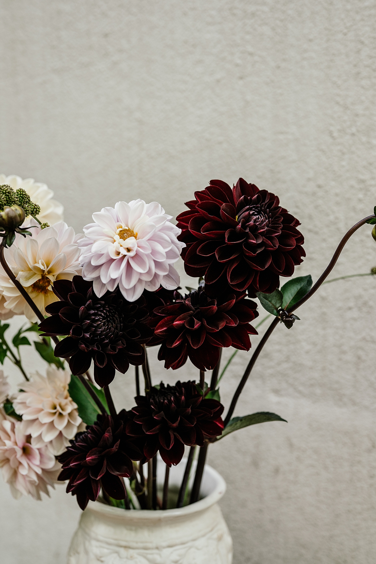 Burgundy & Blush Affair Collection - Image 4
